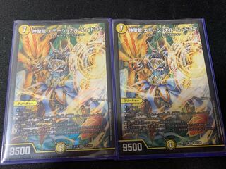 神聖龍 エモーショナル・ハードコア 1枚