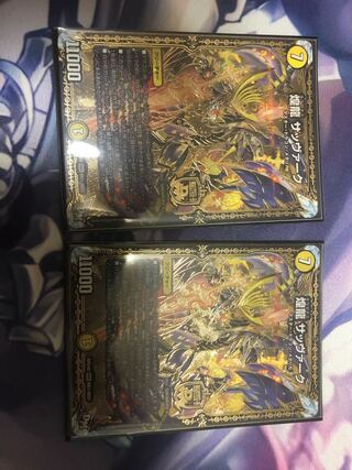 煌龍 サッヴァーク 2枚セット