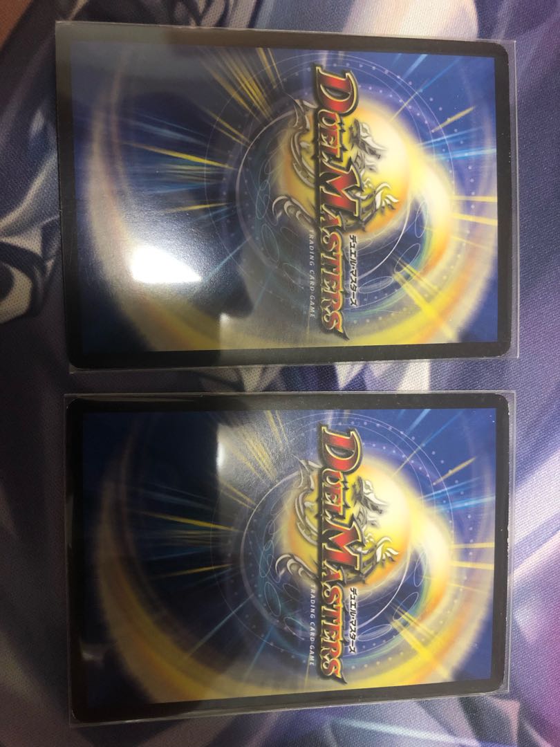 煌龍 サッヴァーク 2枚セット