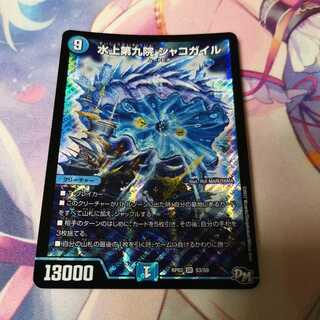 水上第九院 シャコガイル