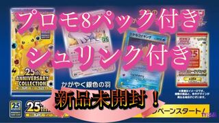 25th シュリンク付き2BOX ポケカ