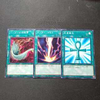 ハーピィの羽根帚 、サンダーボルト、死者蘇生、各ノーマル