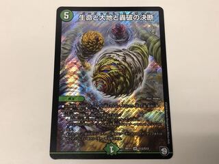 【即購入OK】生命と大地と轟破の決断