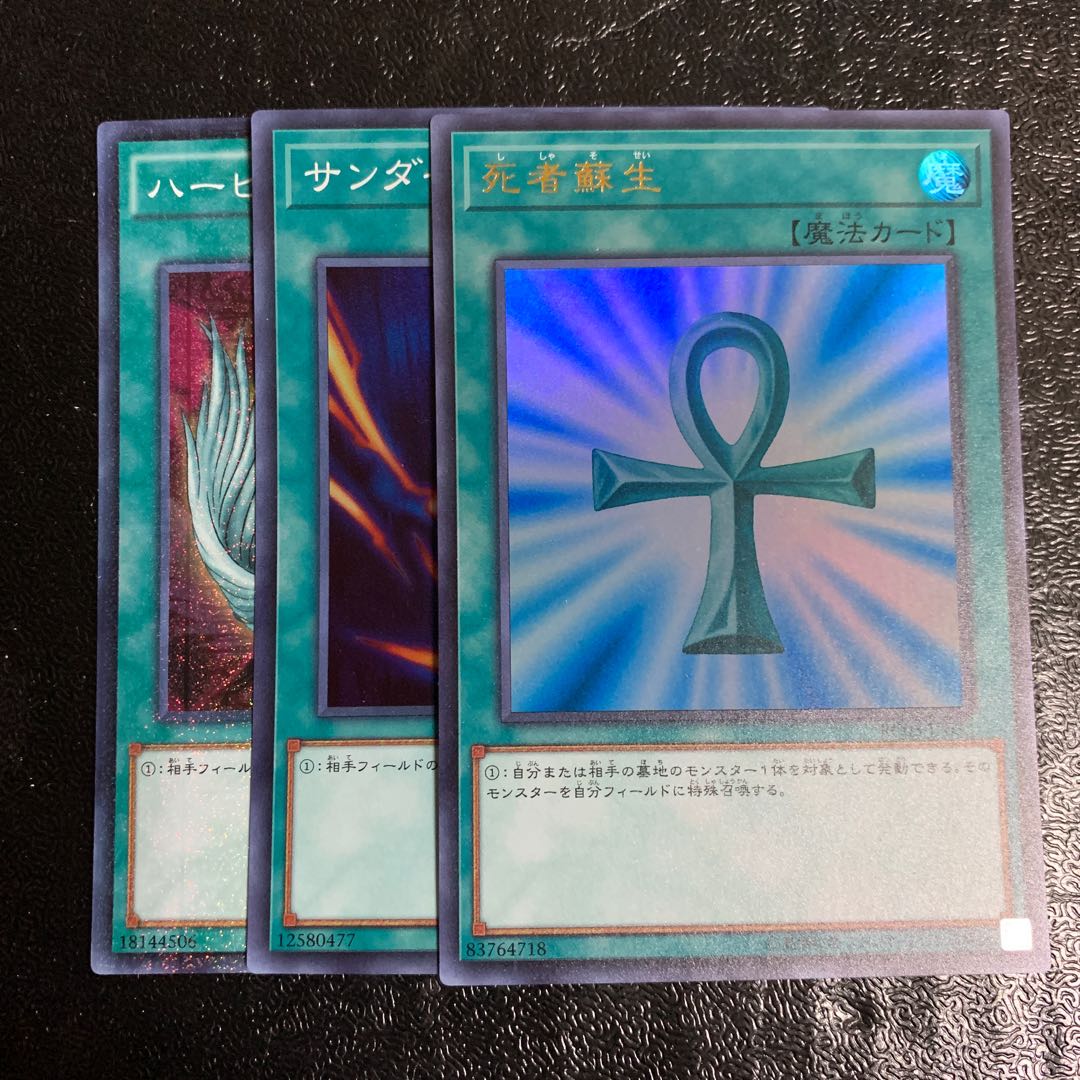 死者蘇生 サンダー・ボルト ハーピィの羽根箒