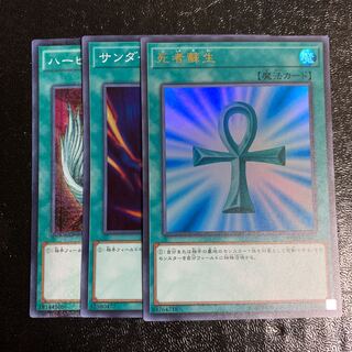 死者蘇生　サンダー・ボルト　ハーピィの羽根箒