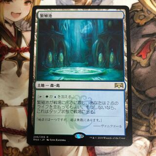 MTG ラヴニカの献身　繁殖池　まとめ売り用