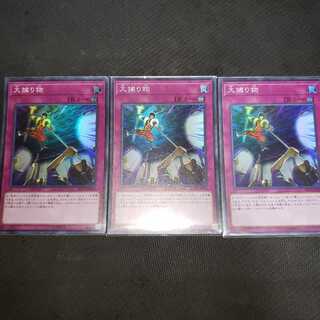 大捕り物 スーパーレア