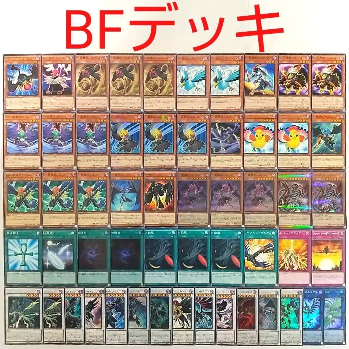 【遊戯王 デッキ】BFフルアーマードウィング 王神鳥シムルグ BF毒風のシムーン