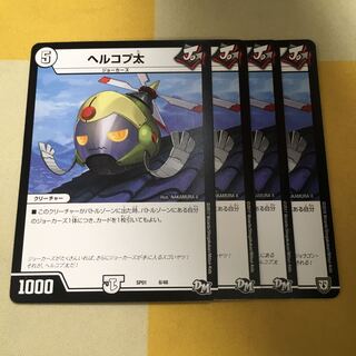 Hercoptotus oxycephalus (species of hogfish)