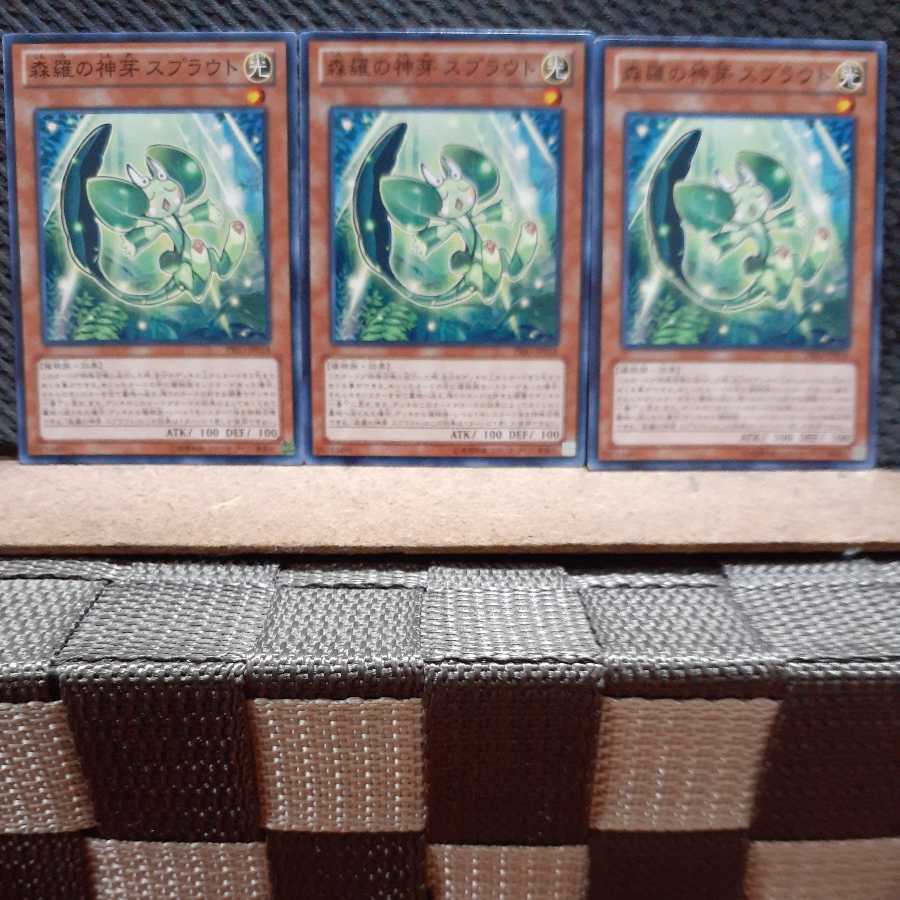 【ぽぽたん】遊戯王2547 森羅の神芽 スプラウト 3枚 ノーマル