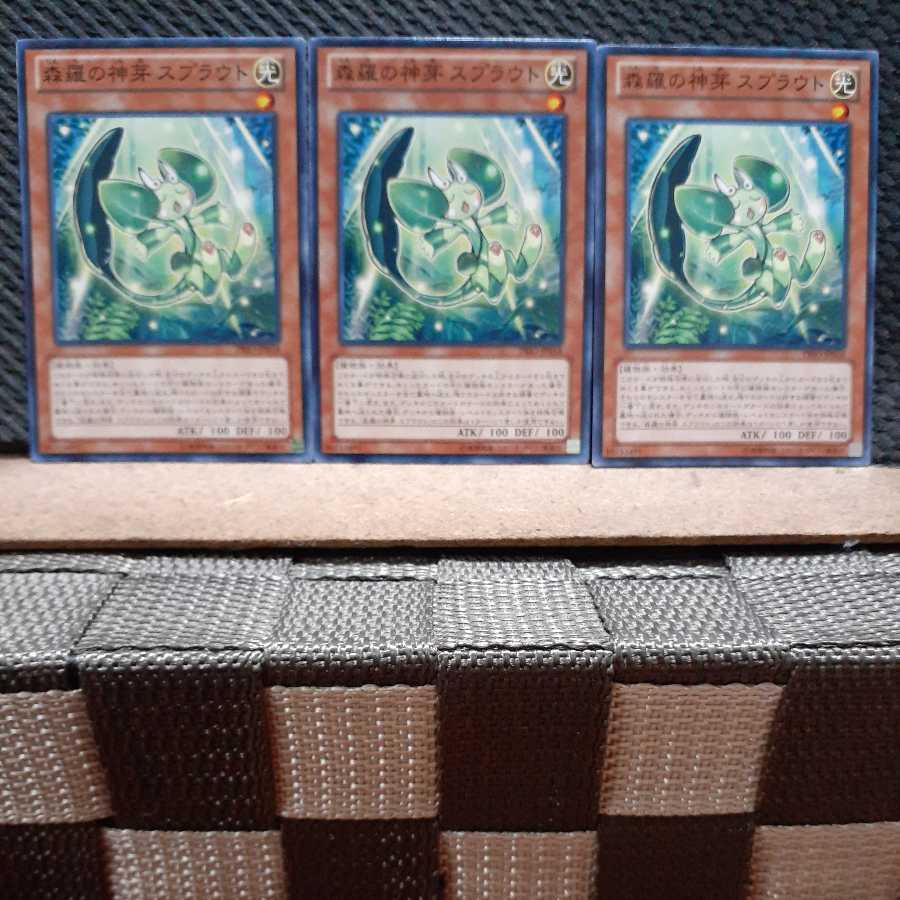 【ぽぽたん】遊戯王2547 森羅の神芽 スプラウト 3枚 ノーマル