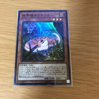 未界域のツチノコ