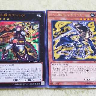 十二獣 ドランシア モルモラット