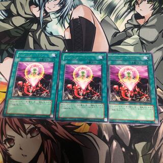 【もふもふ】ワン・フォー・ワン