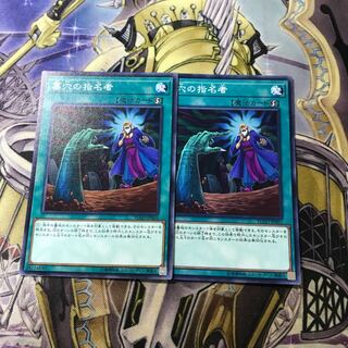 墓穴の指名者 ノーマル　2枚