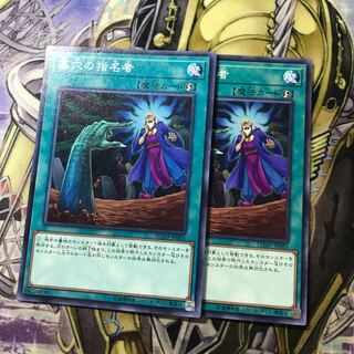 墓穴の指名者 ノーマル　2枚