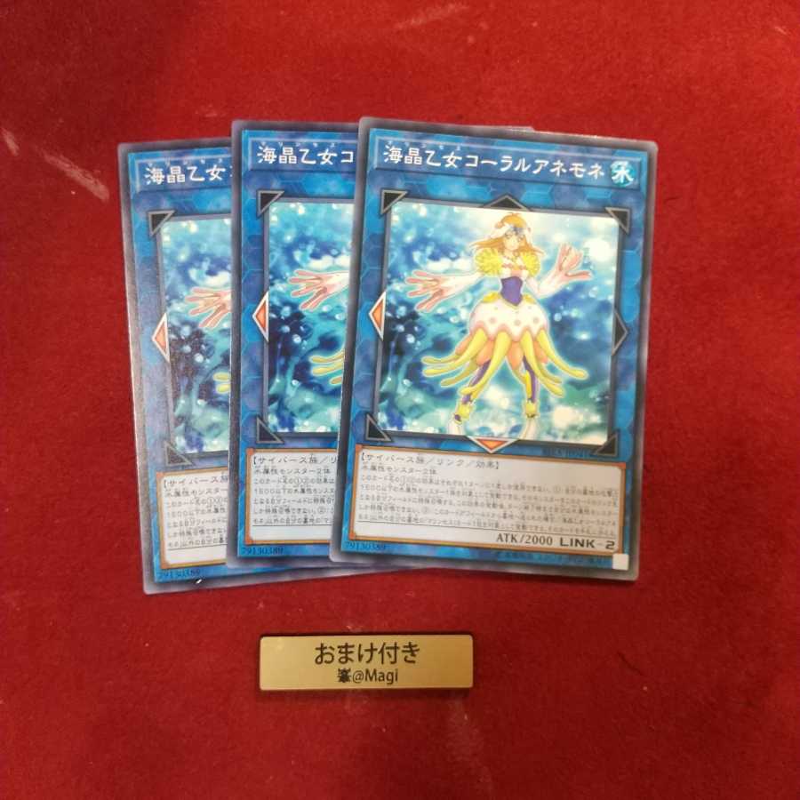 海晶乙女コーラルアネモネ ノーマル