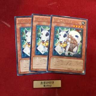 チェーンドッグ レア