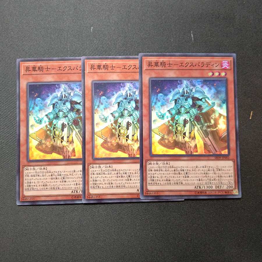 昇華騎士-エクスパラディン スーパーレア