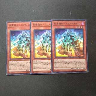 昇華騎士-エクスパラディン スーパーレア