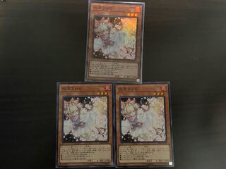 【Y】灰流うらら3枚セット