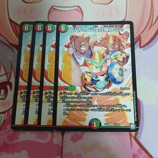 ハムカツ団の爆砕Go!