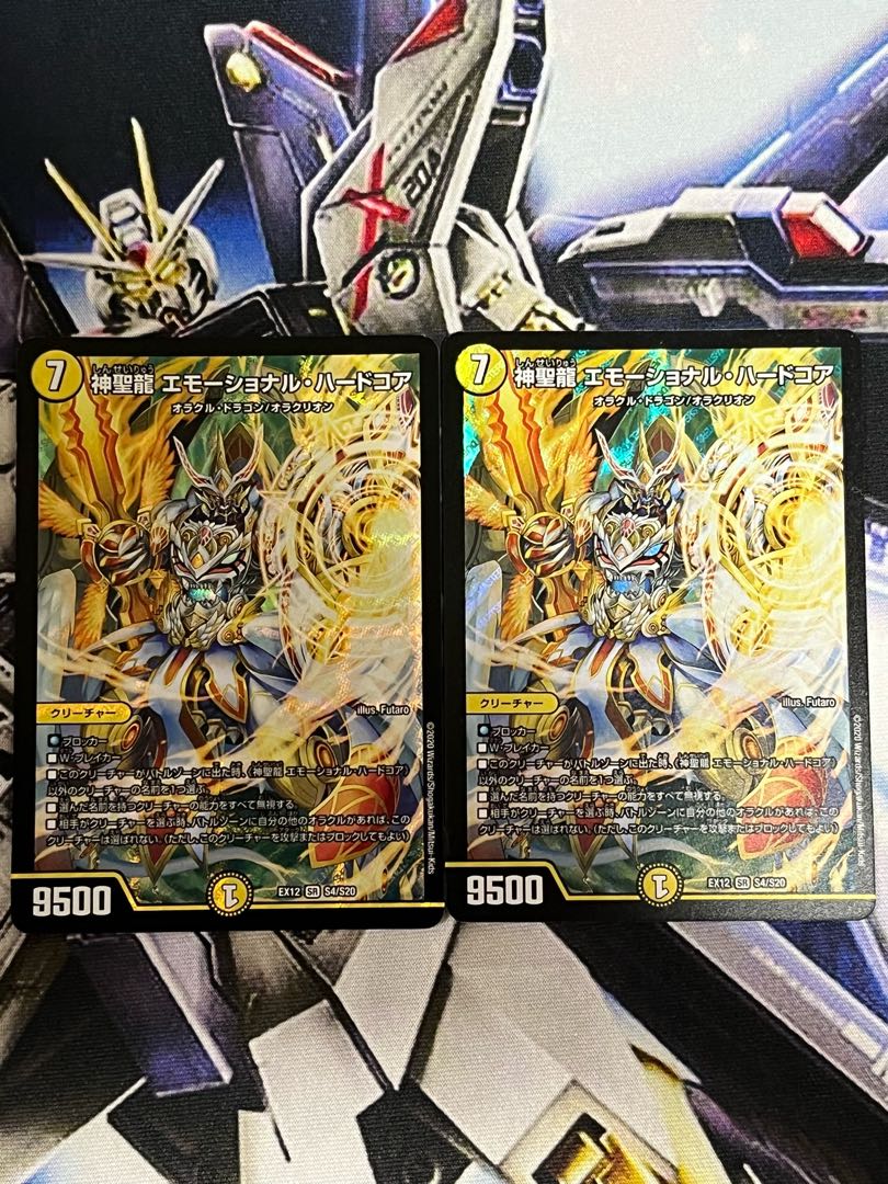 神聖龍 エモーショナル・ハードコア