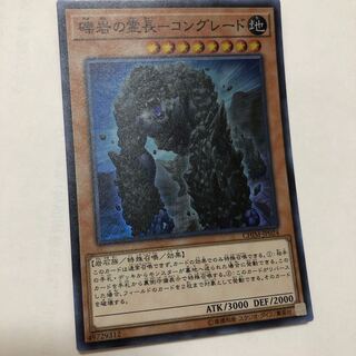 礫岩の霊長-コングレード