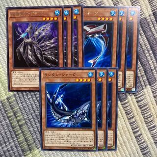 ランタン・シャーク ノーマル　11