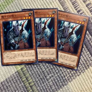 魔サイの戦士　14