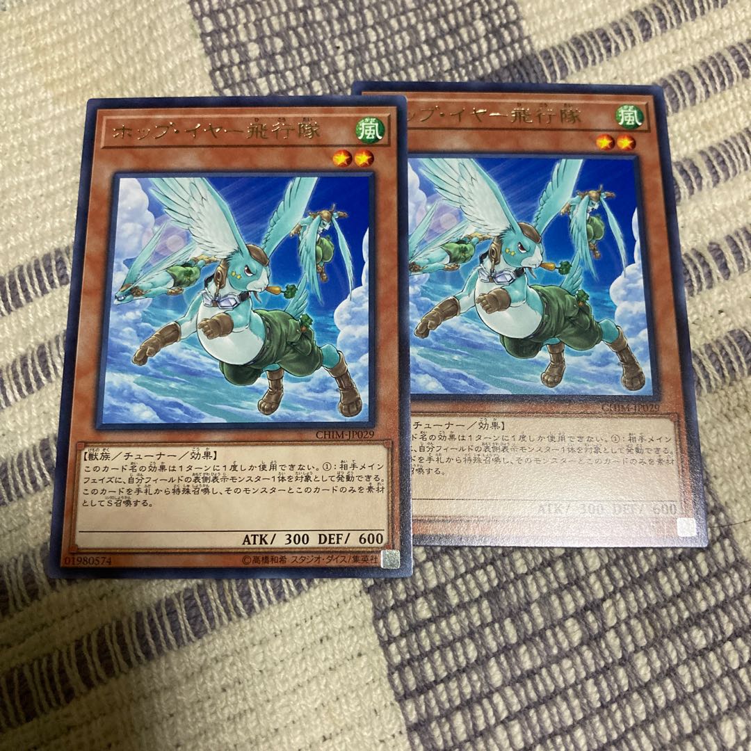 ホップ・イヤー飛行隊 レア 24