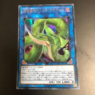 【たなSALE】捕食植物ヴェルテ・アナコンダ