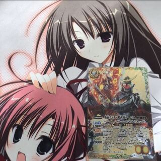 塔夢様専用 仮面ライダー鎧武 1枚