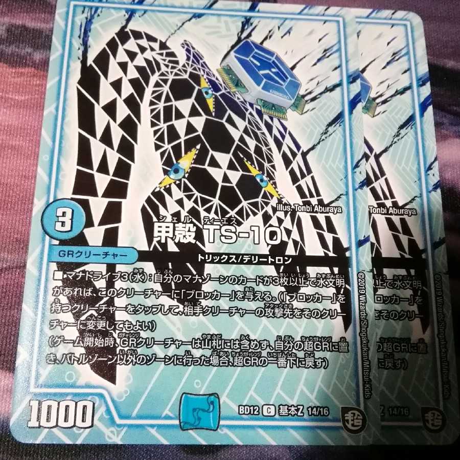 甲殻 TS-10　２枚　アカマル