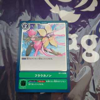 フラウカノン　R