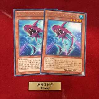 ダブルフィン・シャーク レア