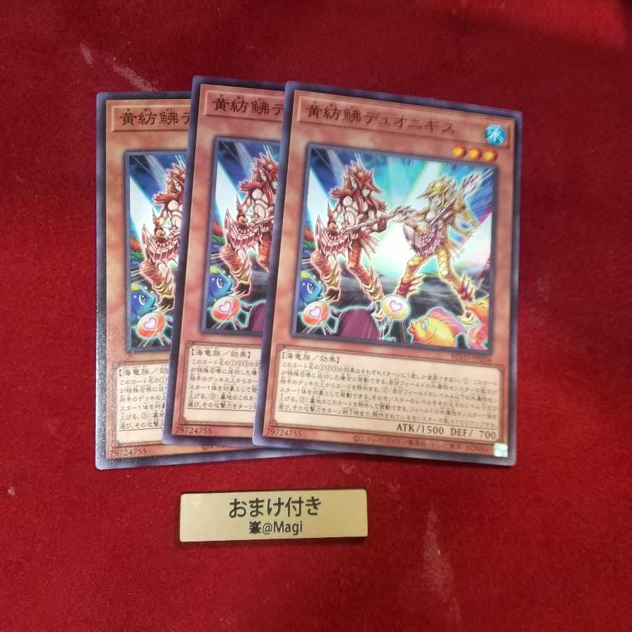 黄紡鮄デュオニギス ノーマル　他オーダー