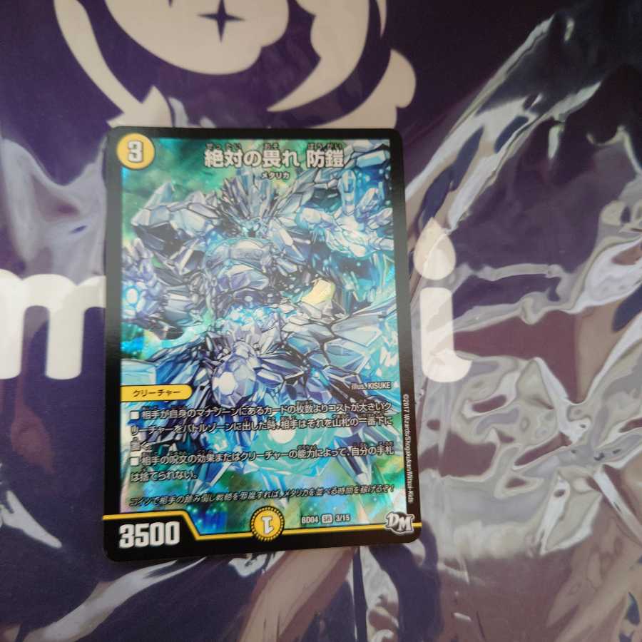 絶対の畏れ 防鎧 SR