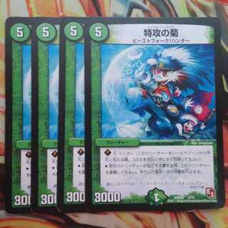 特攻の菊 四枚セット