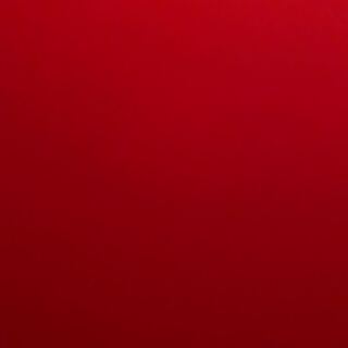 エンドー様専用