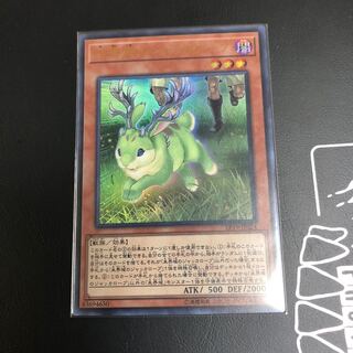 【Ark様専用】未界域のジャッカロープ