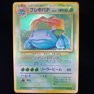 Venusaur Old Back