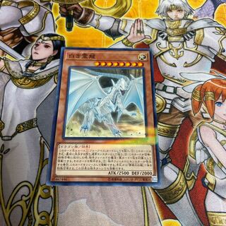 ◉白き霊龍 パラレル ノーマル