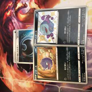 ドガース S 色違い かくせい