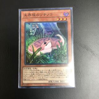 【リオン様専用】未界域のツチノコ①