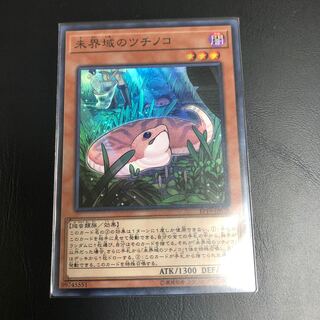 【たなSALE】未界域のツチノコ②