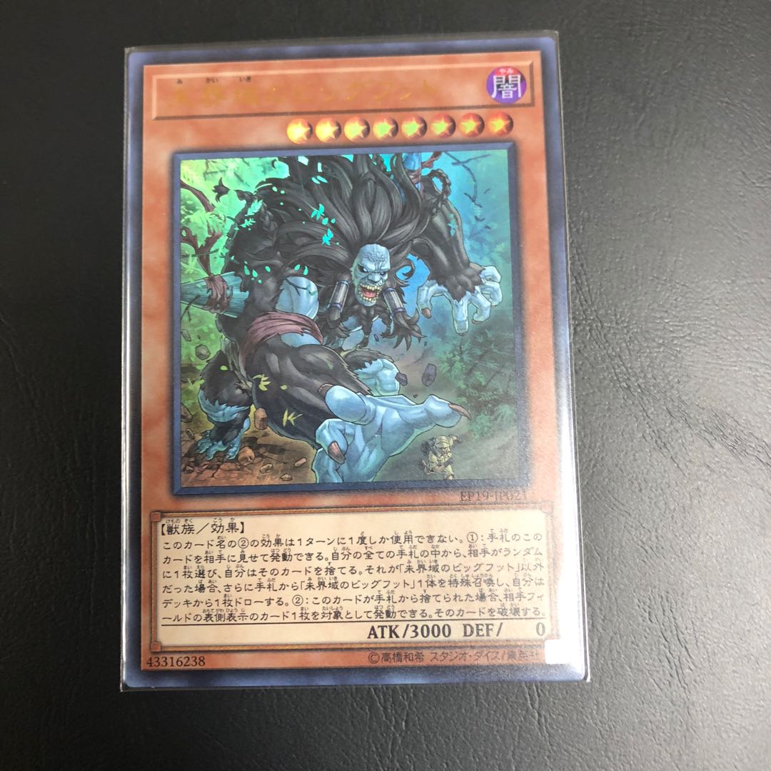 【Ark様専用】未界域のビッグフット