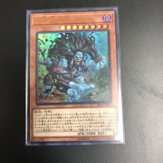 【Ark様専用】未界域のビッグフット