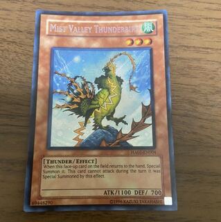 ミストバレーの雷鳥　英語