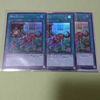 隣の芝刈り スーパー ３枚